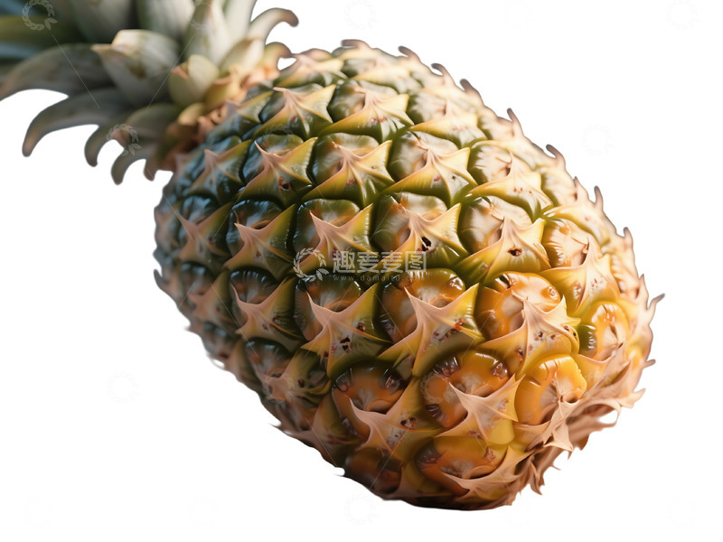 高清大图下载【趣麦麦图】免抠菠萝特写 (2)