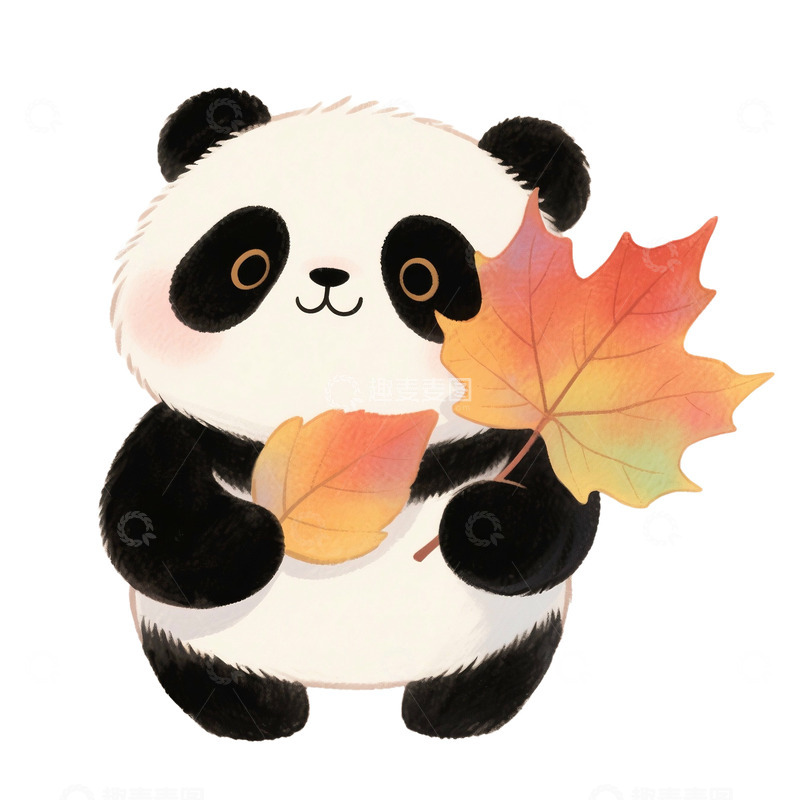 高清大图下载【趣麦麦图】秋天可爱小熊猫免抠元素
