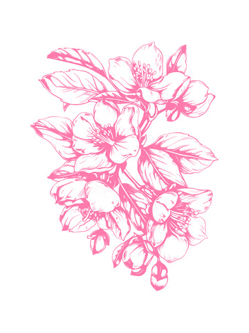 桃花花朵绿叶线描插画版画木刻画