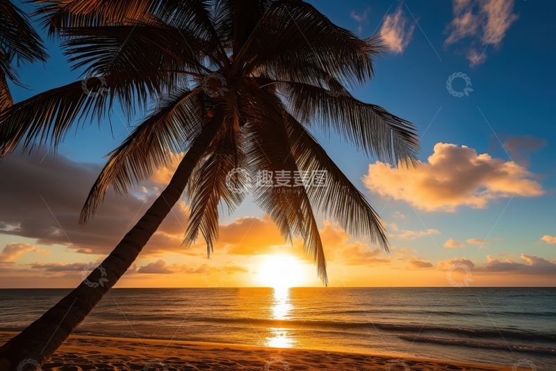 高清大图下载【趣麦麦图】大海边椰树海洋自然风景