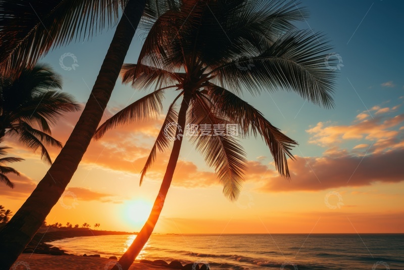 高清大图下载【趣麦麦图】户外椰树海洋美景