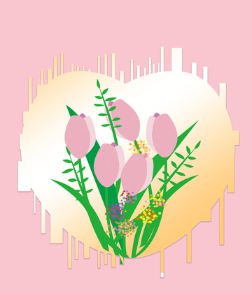 粉色郁金香，郁金香花束