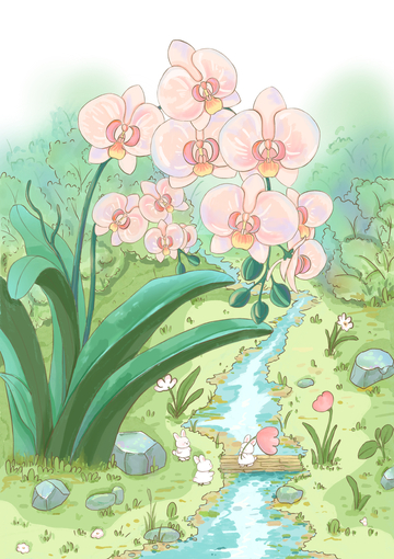 溪流边的蝴蝶兰