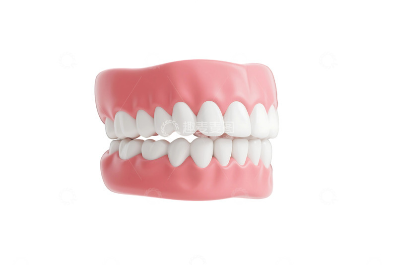 高清大图下载【趣麦麦图】免抠的牙齿模型 