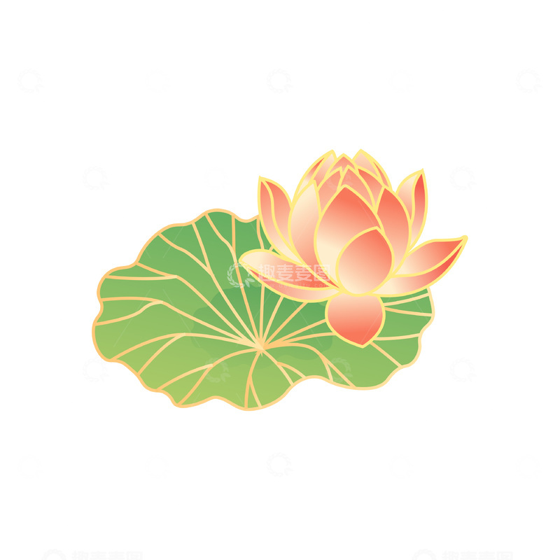 源文件下载【趣麦麦图】立夏处暑荷花莲花花朵荷叶莲叶