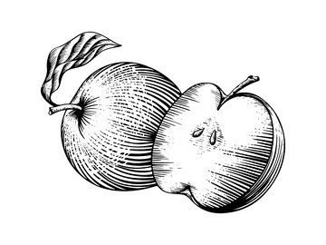 水果苹果食物线稿插画版画木刻画