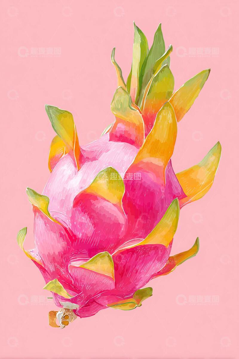 高清大图下载【趣麦麦图】火龙果  鲜艳   绝绝子