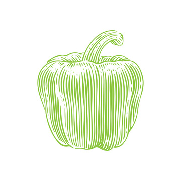 青椒彩椒菜椒蔬菜食材线稿插画