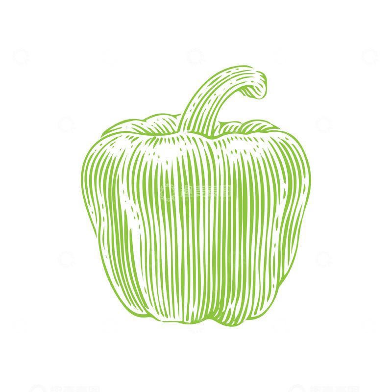 源文件下载【趣麦麦图】-青椒彩椒菜椒蔬菜食材线稿插画