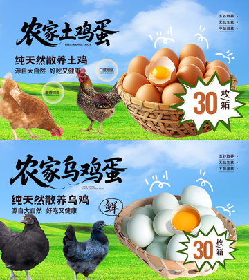 农家土鸡蛋宣传海报