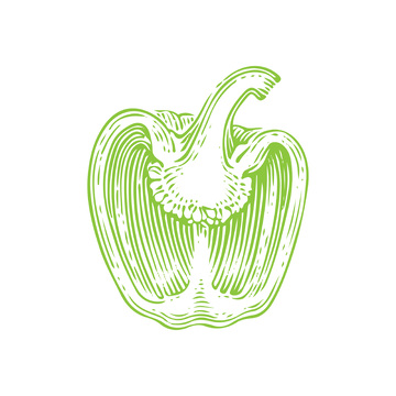青椒菜椒辣椒蔬菜线稿插画版画木刻画