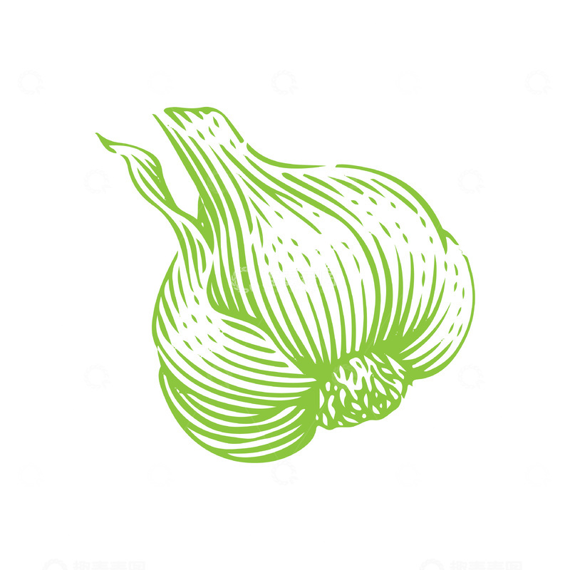 源文件下载【趣麦麦图】大蒜蒜头蒜瓣调味品食材线稿插画