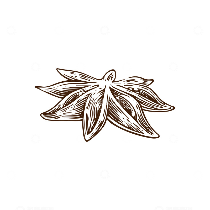 源文件下载【趣麦麦图】调味品食材八角香料线稿插画版画
