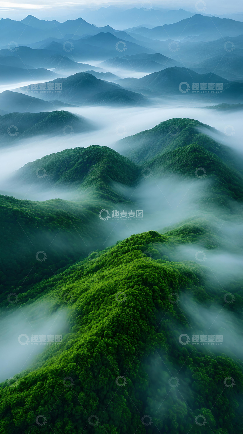 大雾森林鸟瞰高清手机壁纸