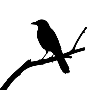 鸟类剪影简约图标