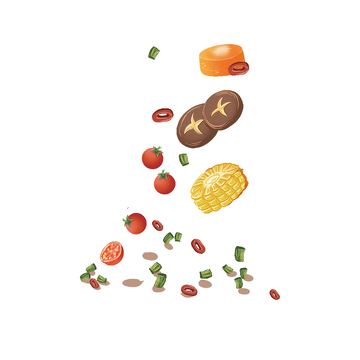 冬至节气蔬菜菌菇葱花食材调味品