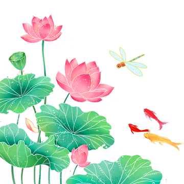 夏天小暑大暑荷花荷叶莲蓬蜻蜓