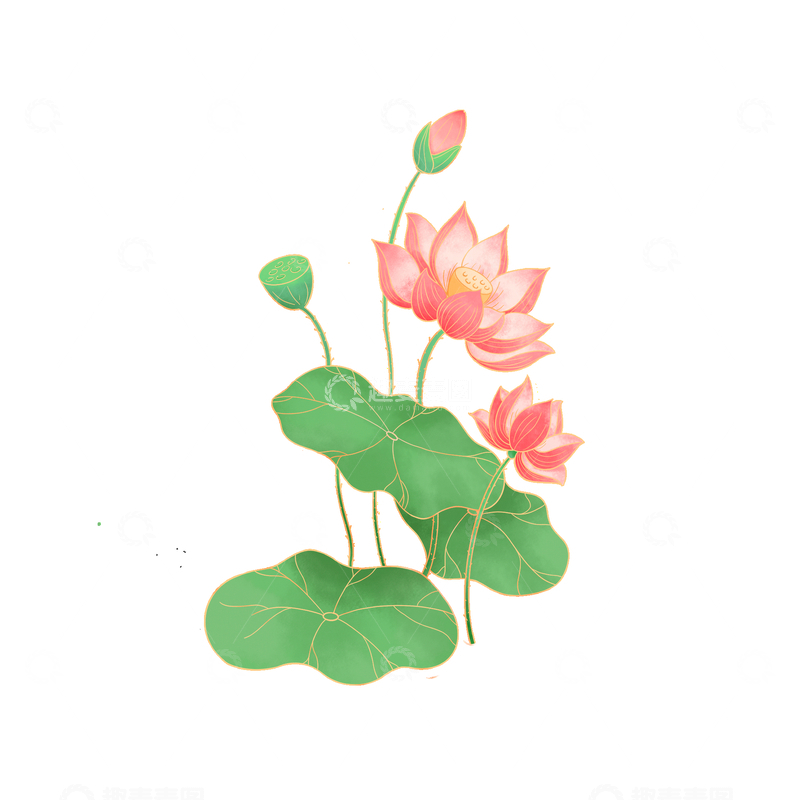 源文件下载【趣麦麦图】夏天大暑荷花莲叶莲蓬花苞植物