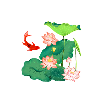 夏天大暑小暑荷花荷叶莲蓬金鱼植物