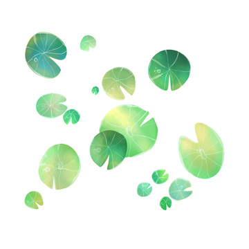 夏天小暑大暑荷叶莲叶荷塘绿叶