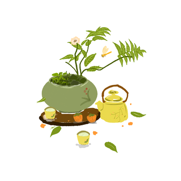 夏天大暑盆景茶壶茶杯柿子植株