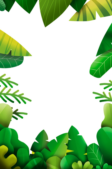 夏天大暑棕榈叶绿叶叶子边框框架