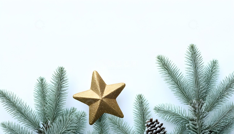 高清大图下载【趣麦麦图】圣诞松枝金星装饰素材