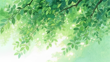 叶隙间的柔光壁纸