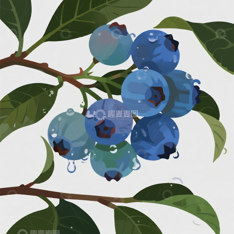高清大图下载【趣麦麦图】夏日蓝莓果实2
