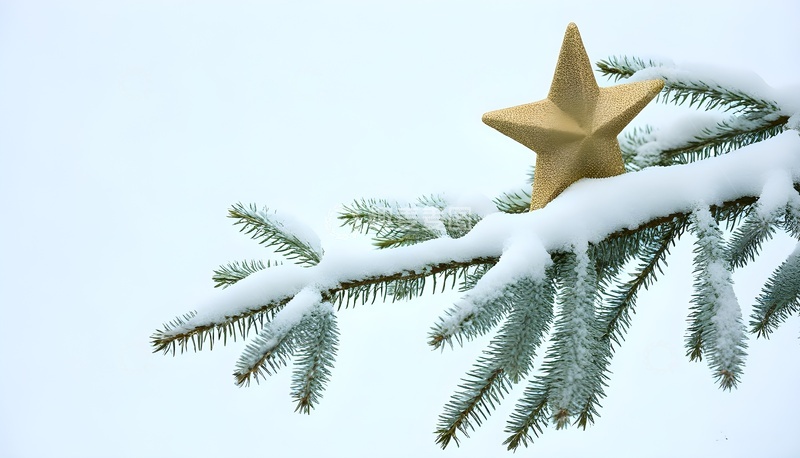 高清大图下载【趣麦麦图】雪覆松枝挂金色星星