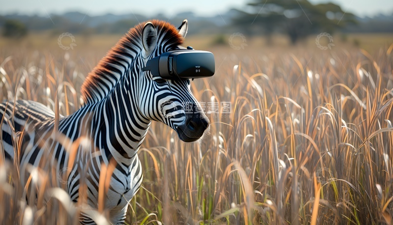高清大图下载【趣麦麦图】草原斑马佩戴VR设备科技感