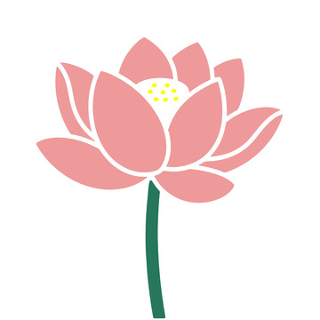 简约粉色荷花插画