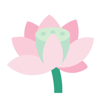 柔色渐变荷花插画