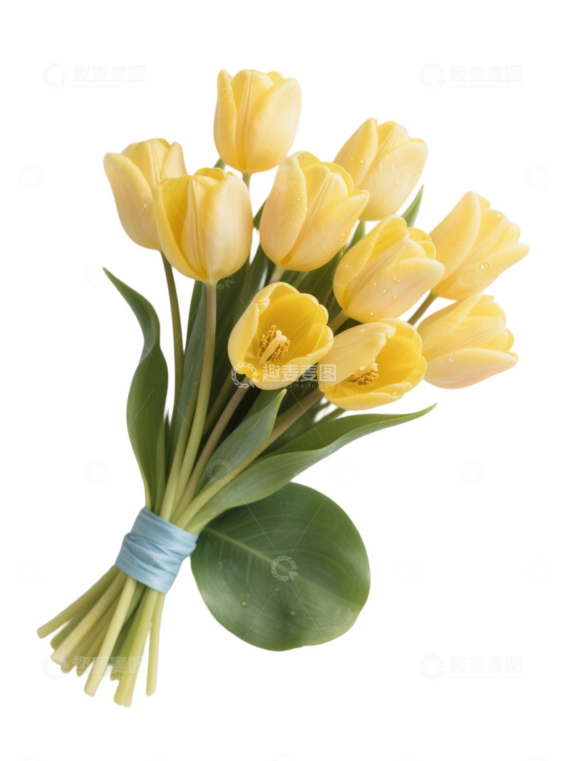 高清大图下载【趣麦麦图】郁金香花束写实主题96u