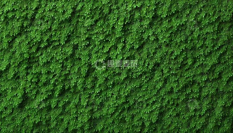 高清大图下载【趣麦麦图】满墙翠绿叶片自然景致