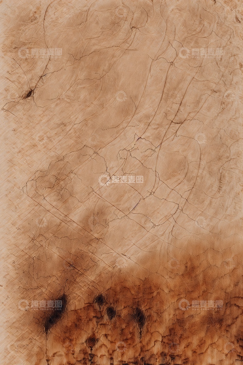 高清大图下载【趣麦麦图】木头树木横切面纹理
