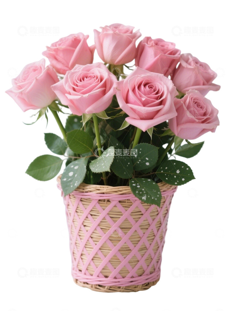 高清大图下载【趣麦麦图】玫瑰花花束写实主题91