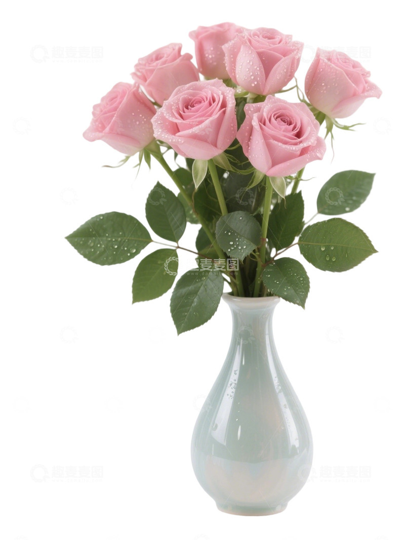 高清大图下载【趣麦麦图】玫瑰花花束写实主题i123