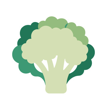 扁平西兰花的色彩简约