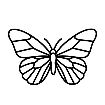 蝴蝶线稿的简约轮廓1