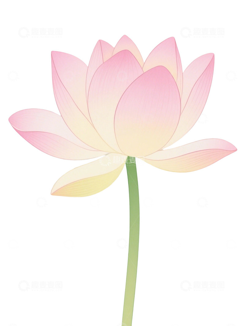 高清大图下载【趣麦麦图】荷花免扣素材38