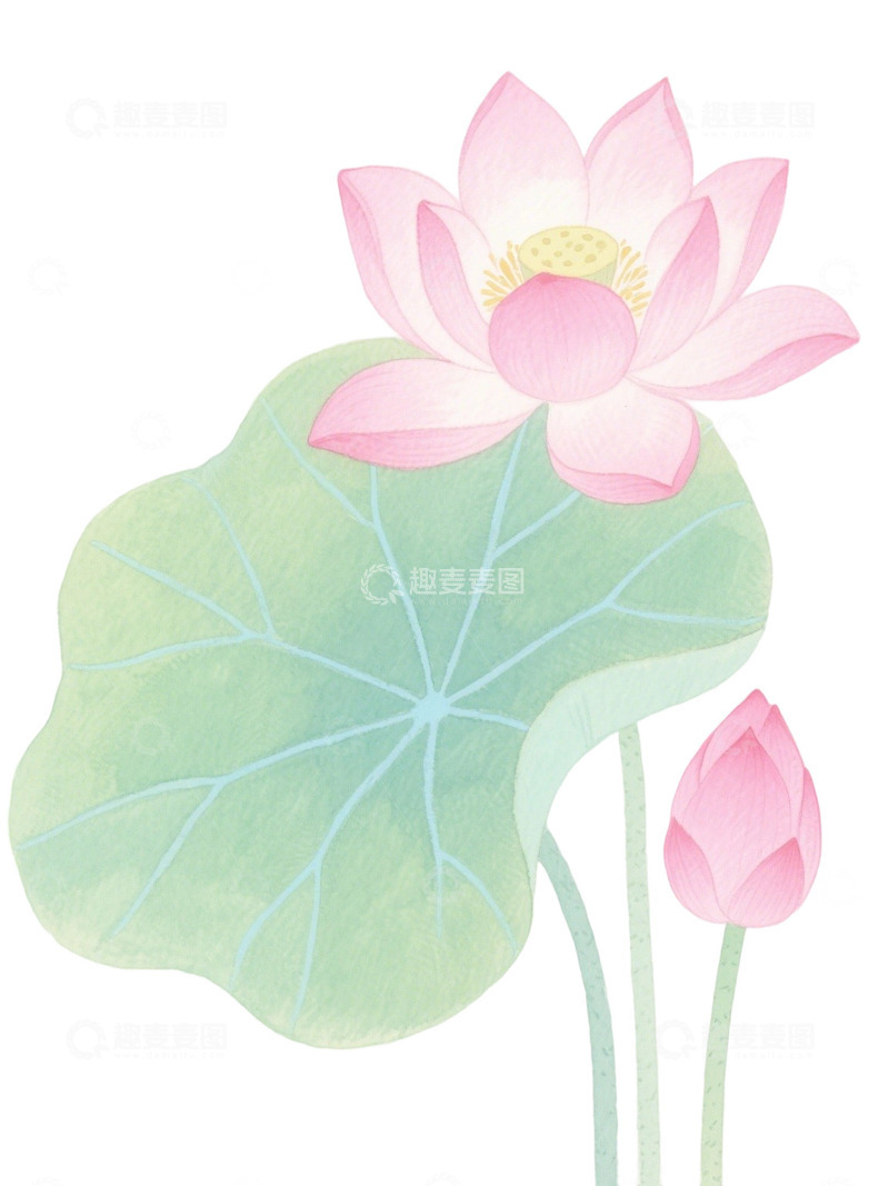 荷花免扣素材8