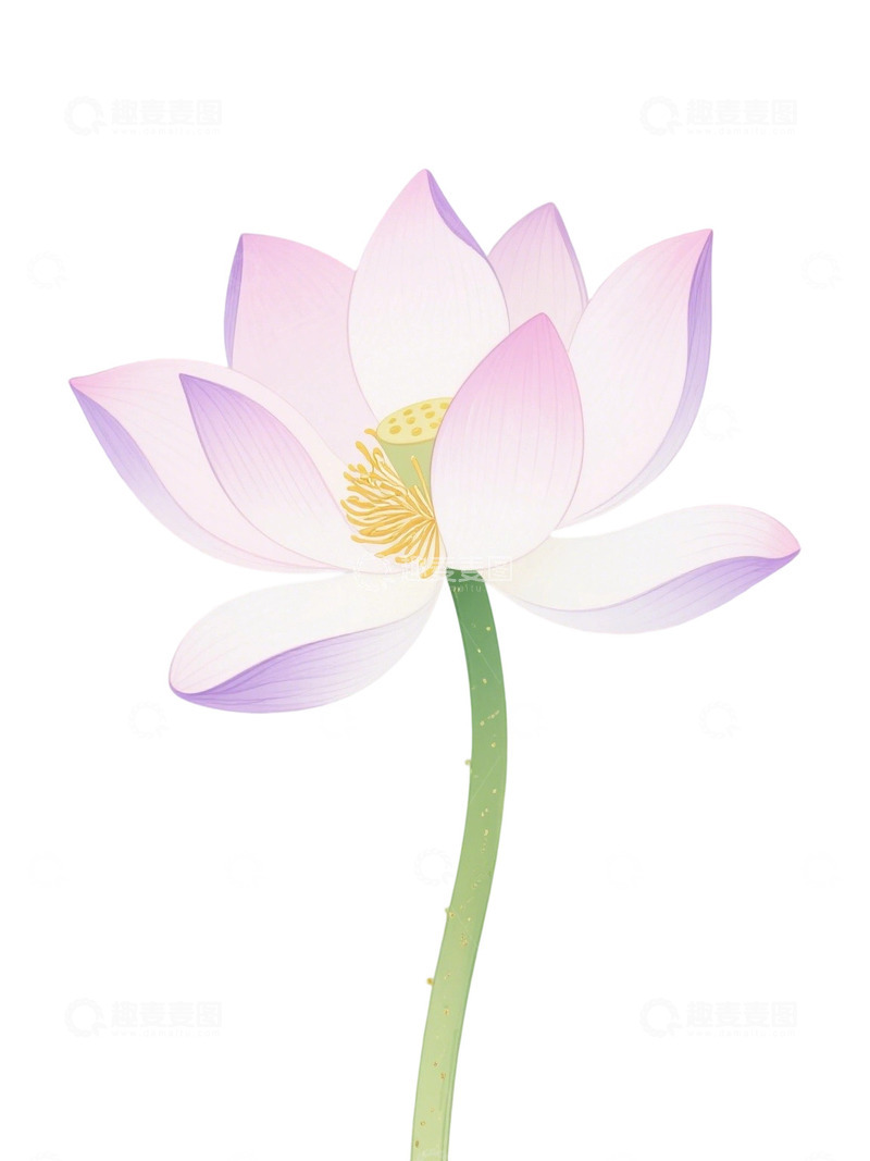 高清大图下载【趣麦麦图】荷花免扣素材31