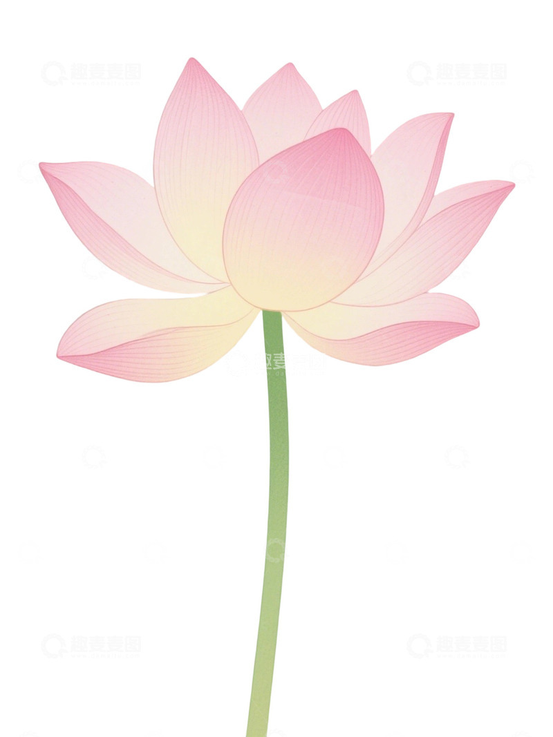 高清大图下载【趣麦麦图】荷花免扣素材21