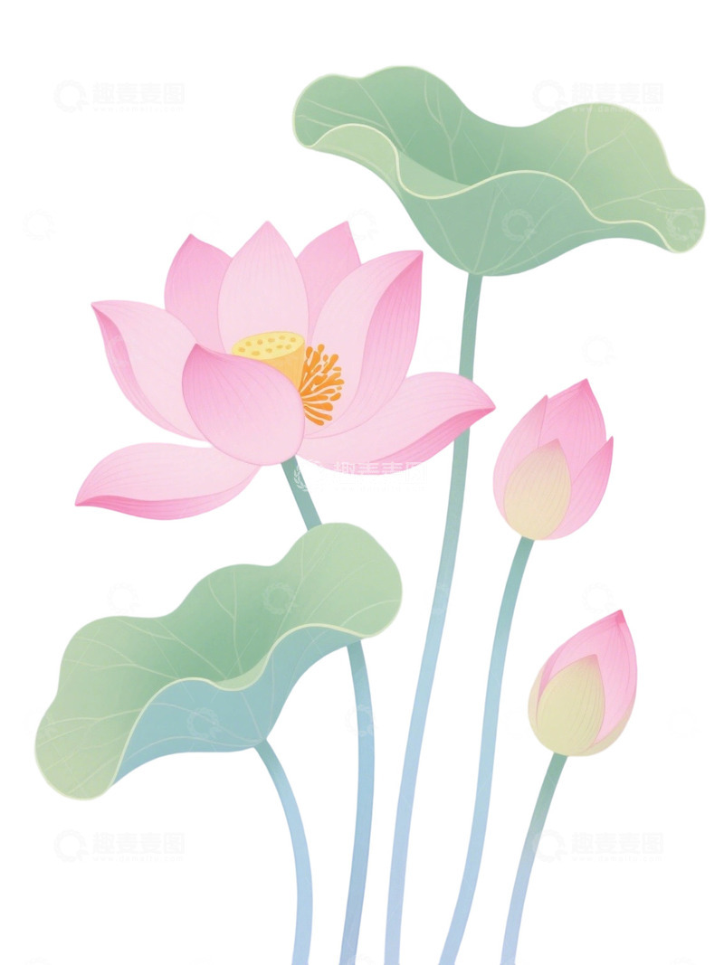 高清大图下载【趣麦麦图】荷花免扣素材28