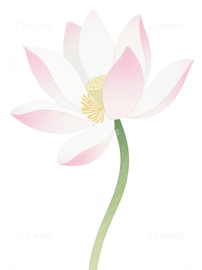 高清大图下载【趣麦麦图】荷花免扣素材48