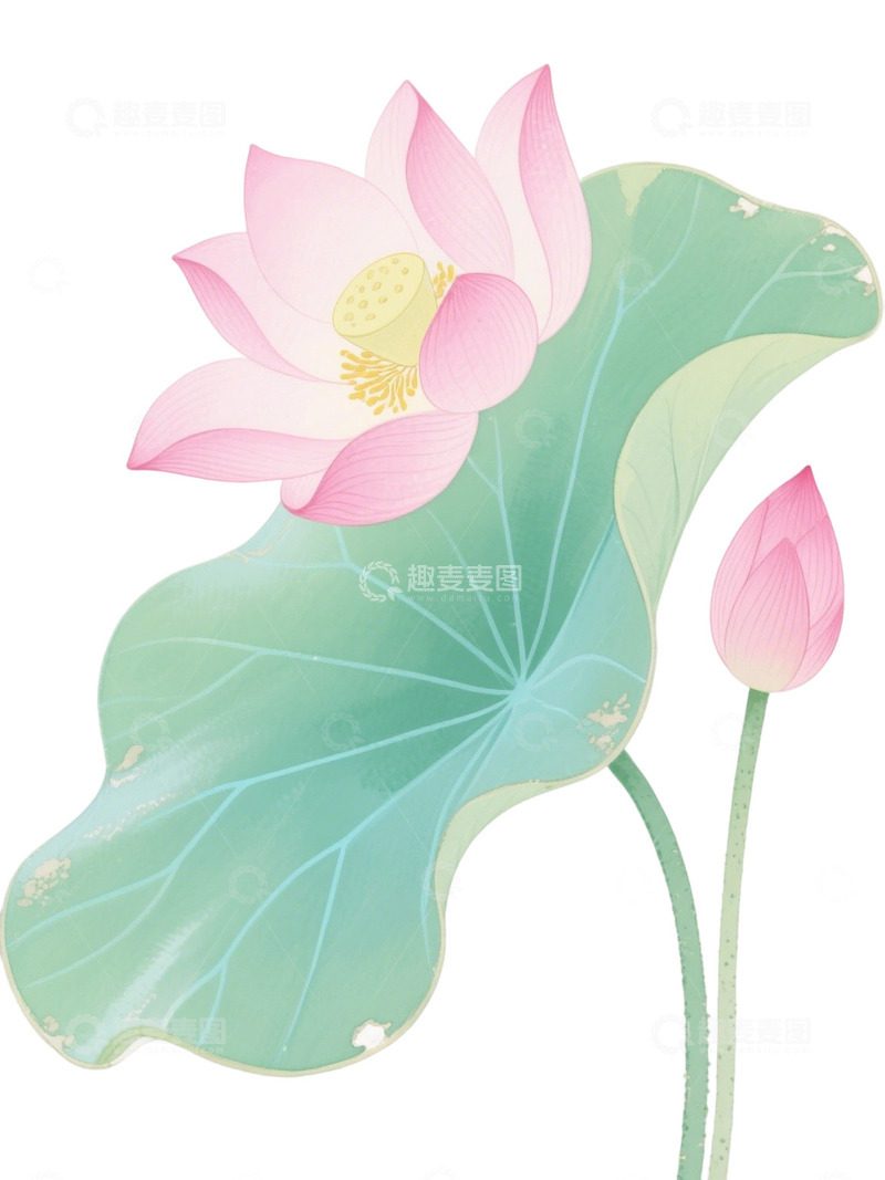 荷花免扣素材5