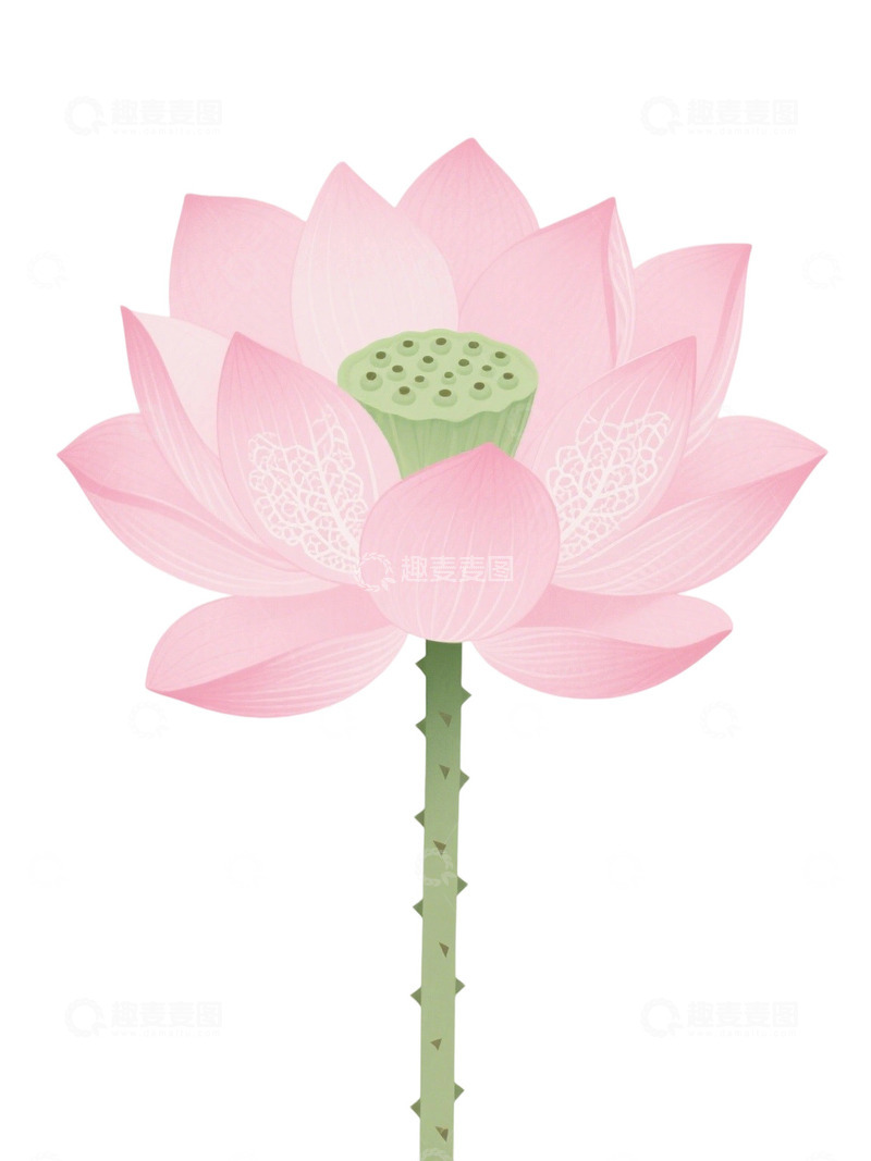 荷花免扣素材198