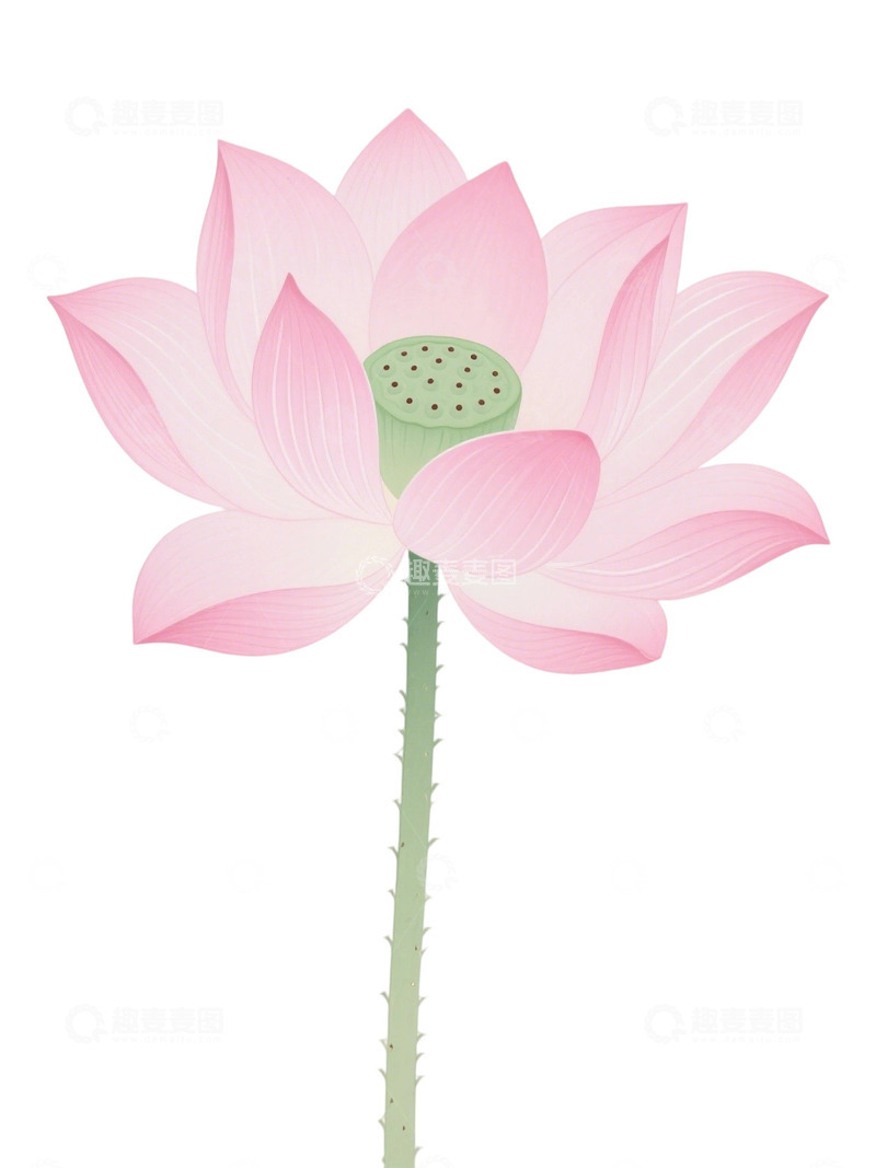 荷花免扣素材203