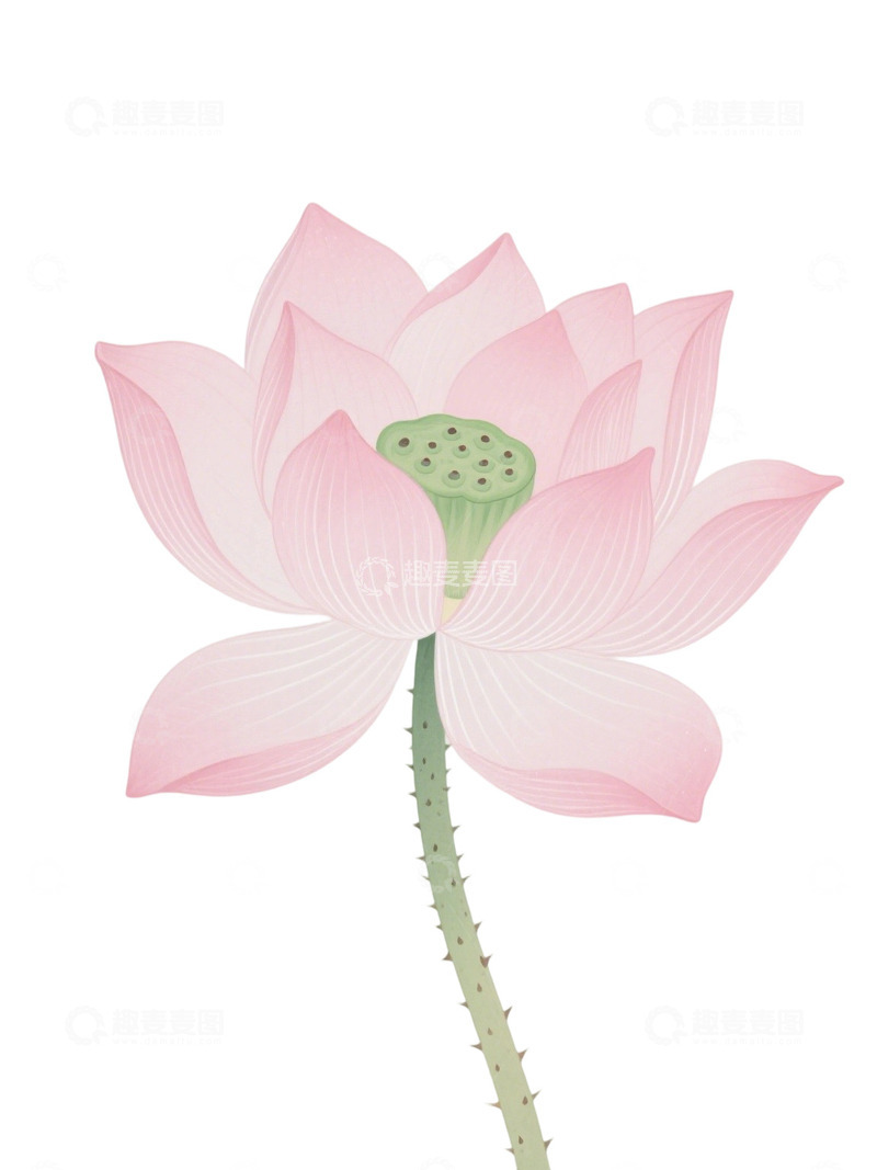 荷花免扣素材192
